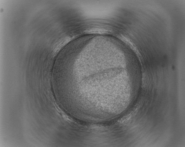 X0000089970529200707131425