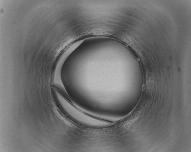 X0000089970530200707131425