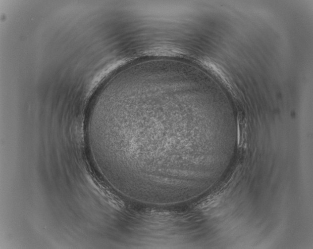 X0000089970531200707131425