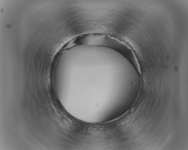 X0000089970532200707131425