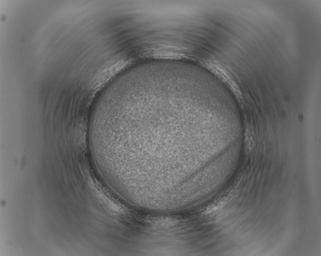 X0000089970533200707131425