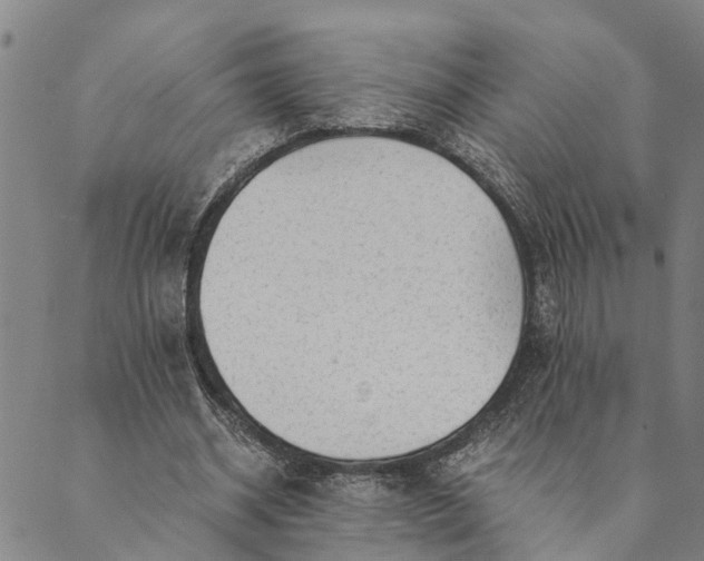 X0000089970534200707131425