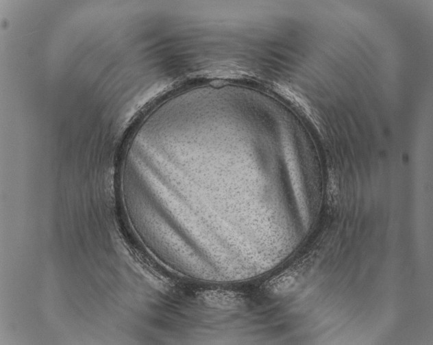 X0000089970535200707131425