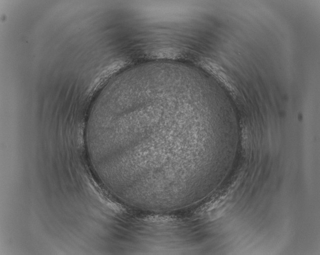 X0000089970537200707131425