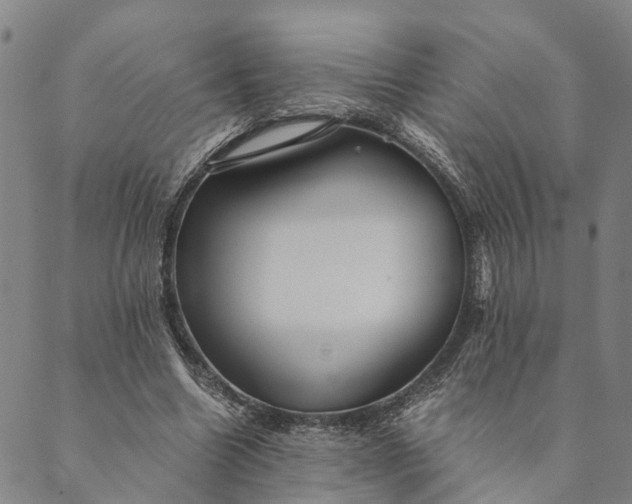 X0000089970538200707131425