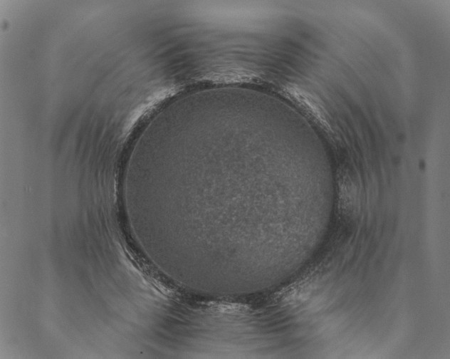 X0000089970539200707131425