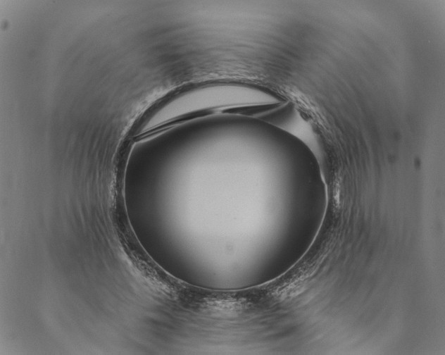 X0000089970540200707131425