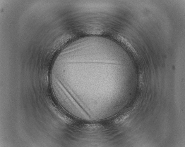 X0000089970541200707131425