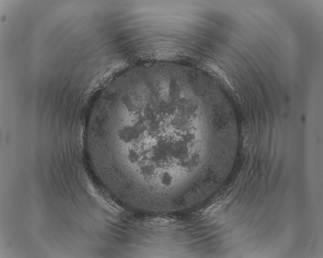 X0000089970542200707131425