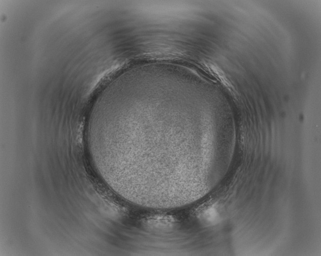 X0000089970543200707131425