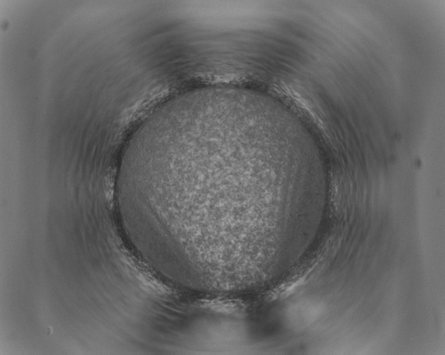 X0000089970545200707131425