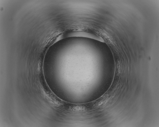 X0000089970546200707131425