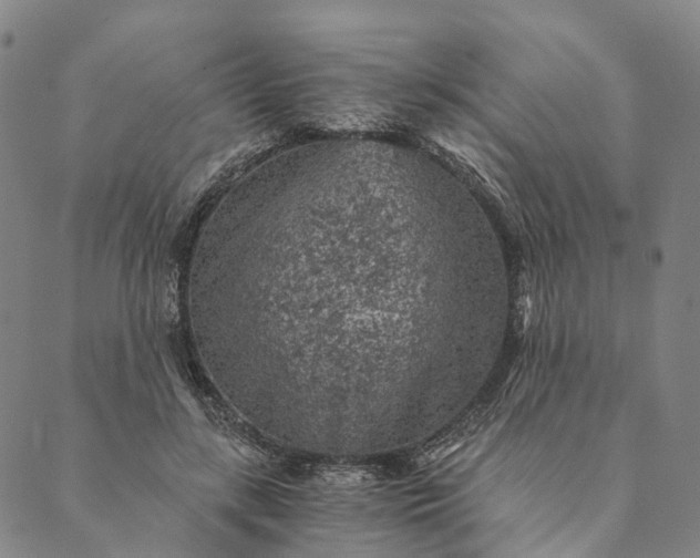 X0000089970547200707131425