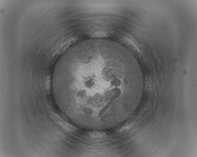 X0000089970549200707131425