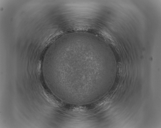 X0000089970550200707131425