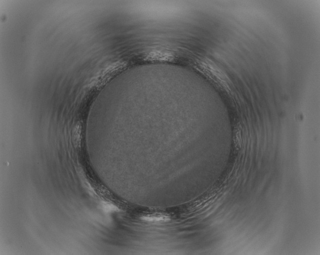 X0000089970551200707131425