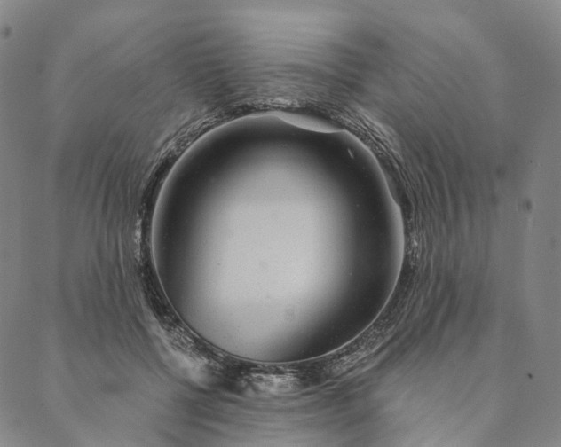 X0000089970552200707131425