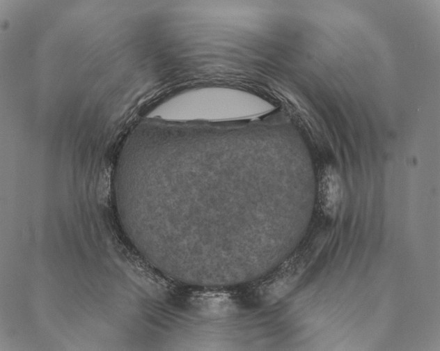 X0000089970554200707131425