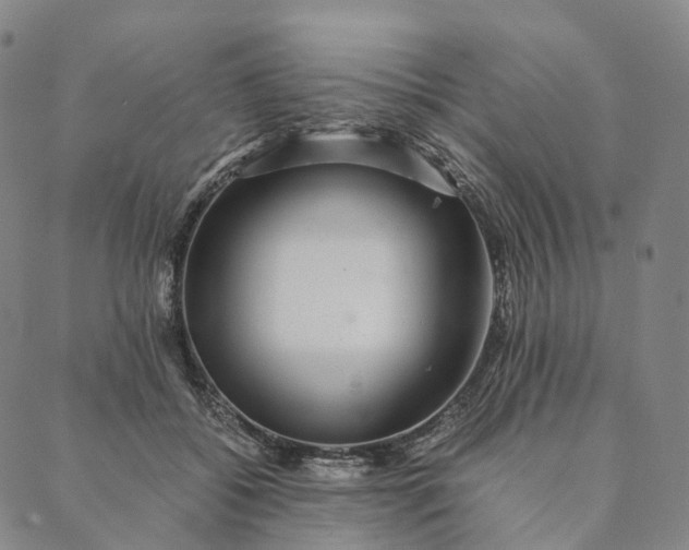 X0000089970556200707131425