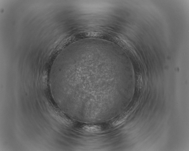 X0000089970557200707131425