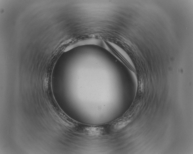 X0000089970558200707131425