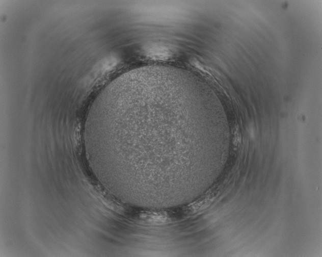 X0000089970559200707131425