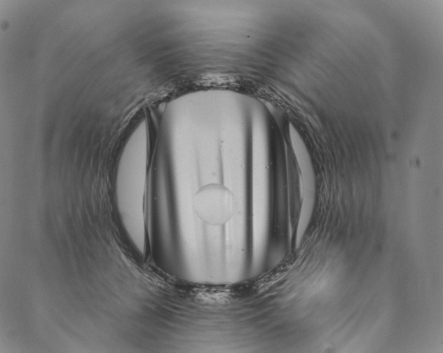 X0000089970560200707131425