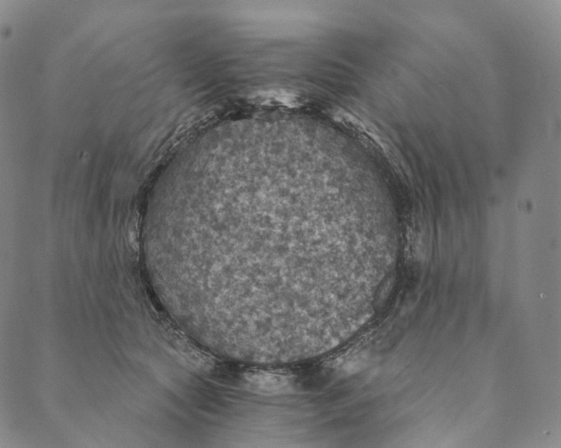 X0000089970561200707131425