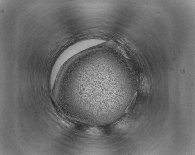 X0000089970562200707131425