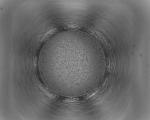 X0000089970563200707131425