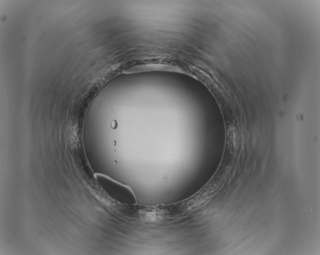 X0000089970564200707131425