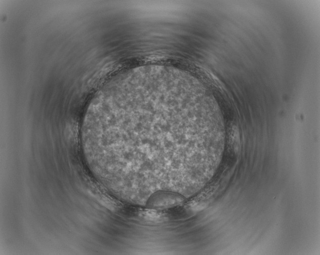 X0000089970565200707131426