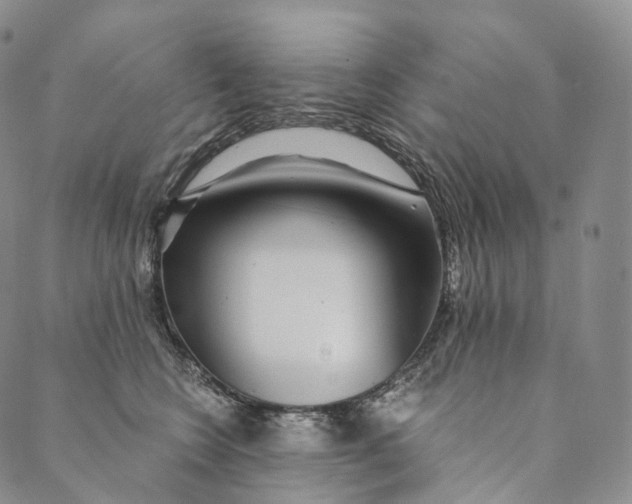 X0000089970566200707131426