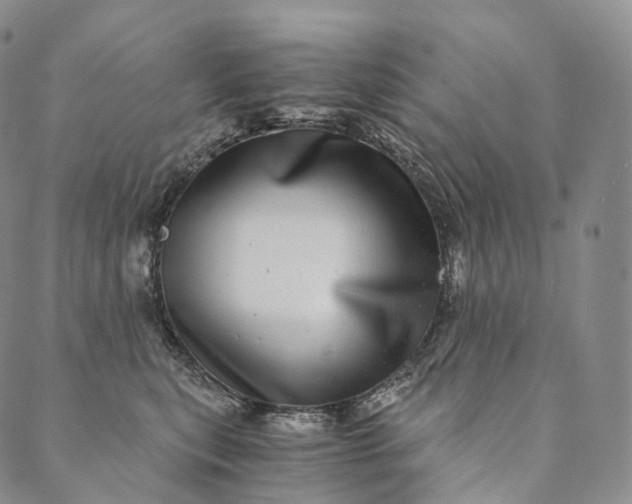 X0000089970567200707131426