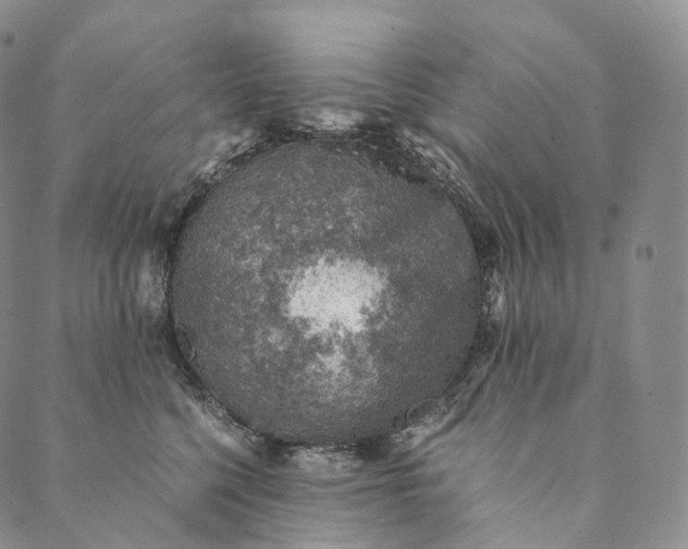 X0000089970568200707131426