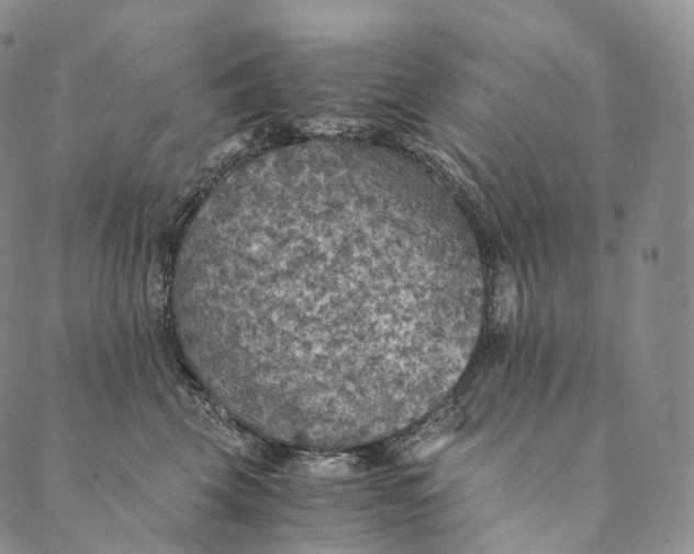 X0000089970569200707131426