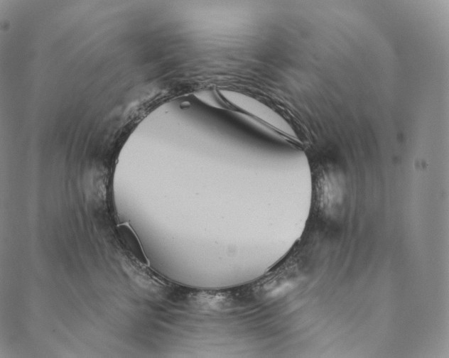 X0000089970570200707131426