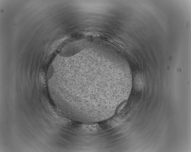 X0000089970571200707131426