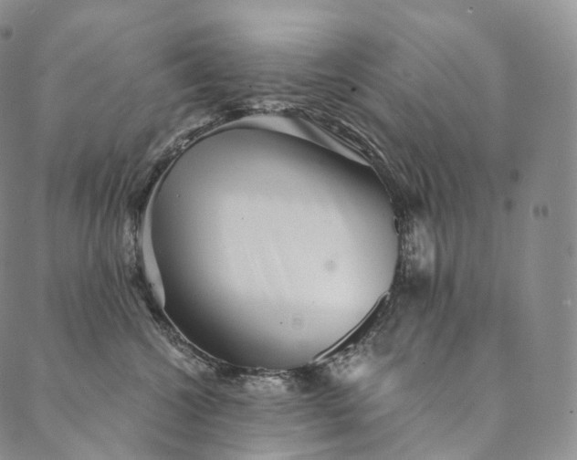 X0000089970572200707131426