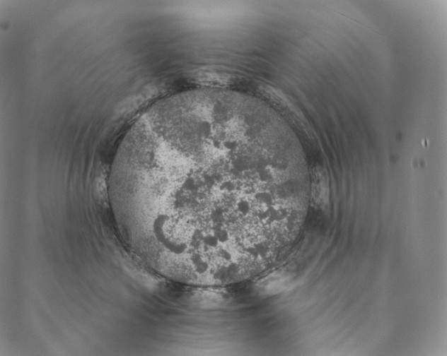 X0000089970573200707131426