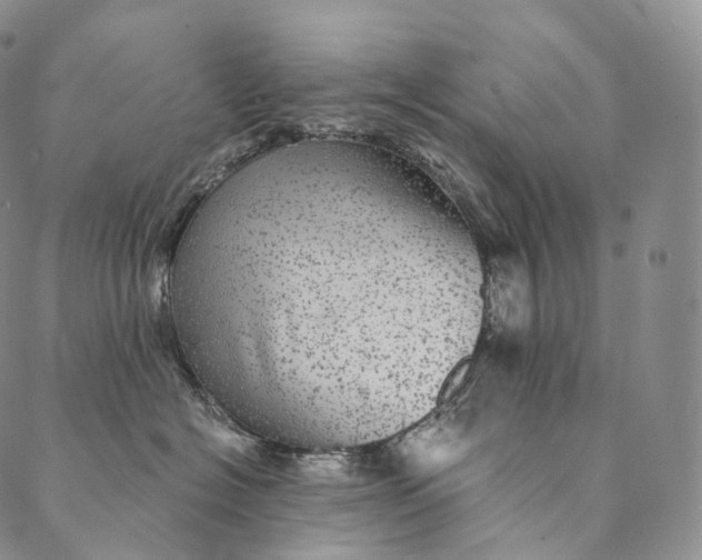 X0000089970574200707131426