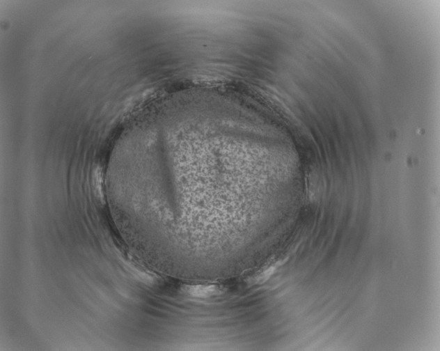 X0000089970575200707131426