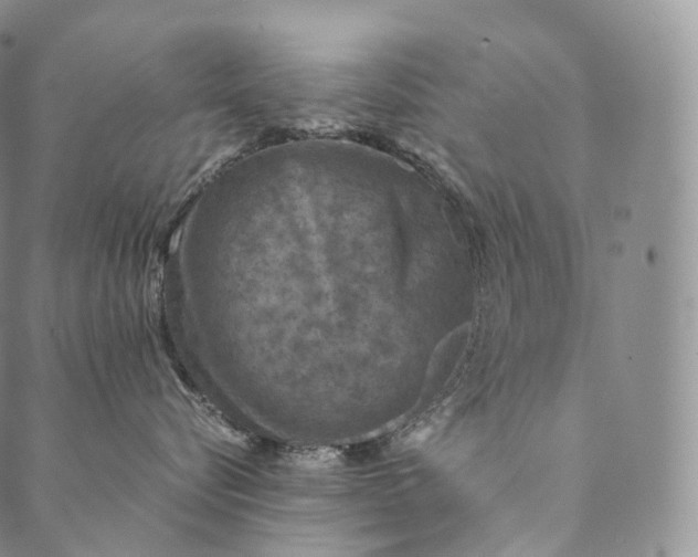 X0000089970576200707131426