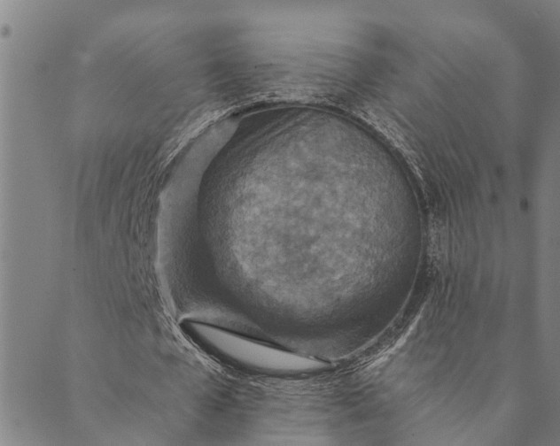 X0000089970577200707131425