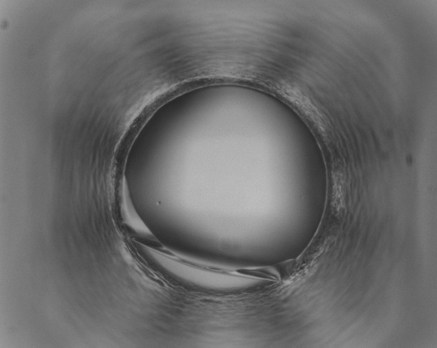 X0000089970580200707131425