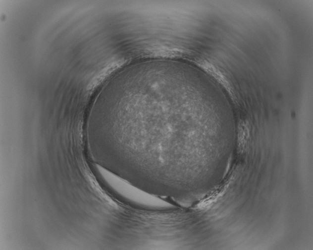 X0000089970581200707131425