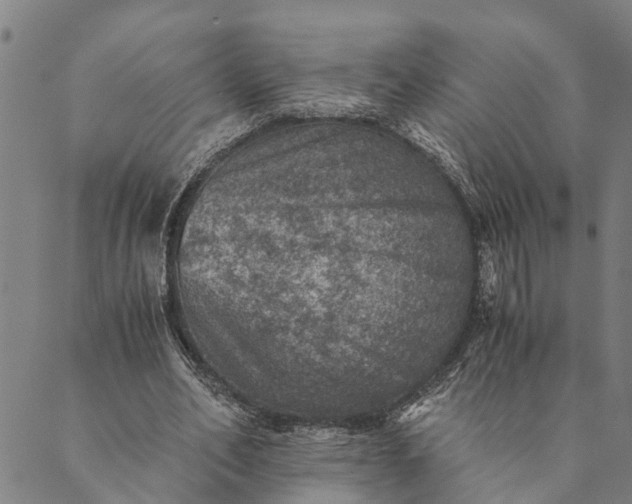 X0000089970582200707131425