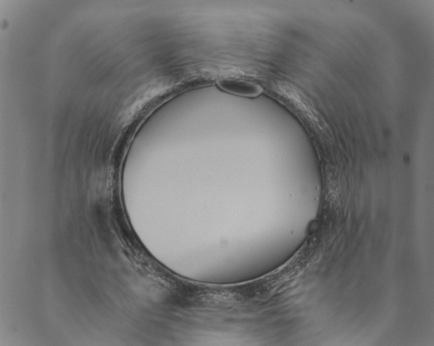 X0000089970583200707131425