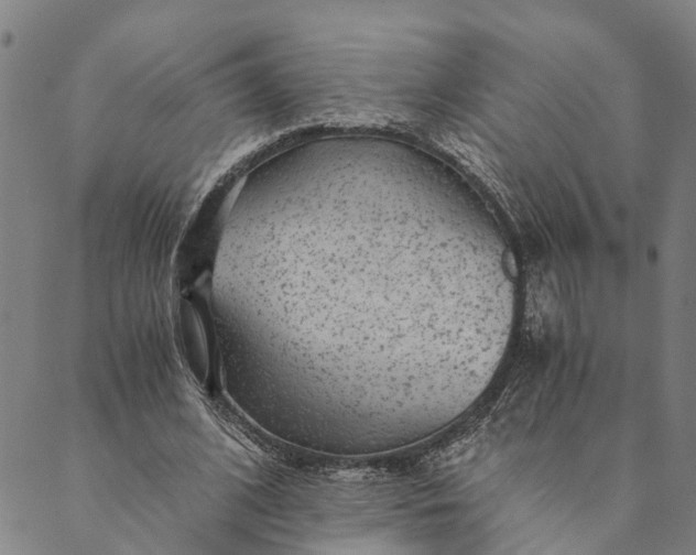 X0000089970584200707131425