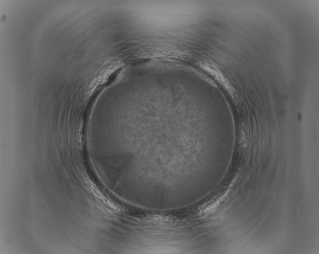 X0000089970585200707131425